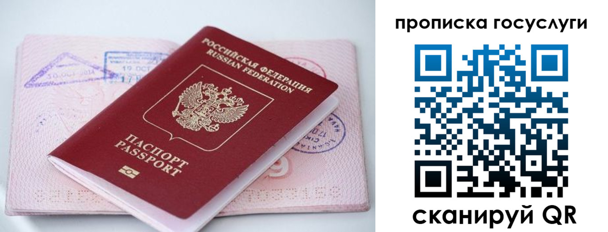 прописка законно в Вязниках